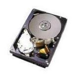 IBM 73.40 GB Hard Drive - 3.5" Internal - SCSI (Ultra320 SCSI)