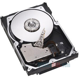 IBM 42D0632 146 GB Hard Drive - 2.5