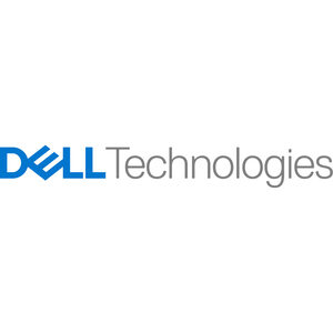 Dell EMC N3-VS15-300E 300 GB Hard Drive - 3.5