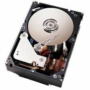 IBM 36.40 GB Hard Drive - 3.5" Internal - SCSI (Ultra320 SCSI)